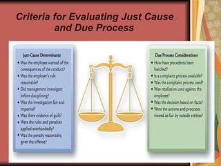Criteria for Evaluating Just Cause and Due Process 