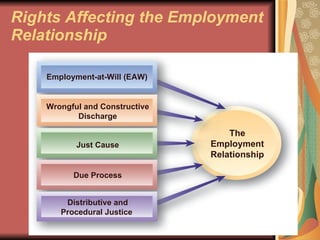 Rights Affecting the Employment Relationship Employment-at-Will (EAW) Wrongful and Constructive Discharge Just Cause Due Process Distributive and Procedural Justice  The Employment Relationship 