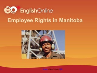 Worker Rights In Manitoba Employee rights in manitoba | PPTX