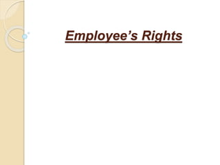 Employee’s Rights
 