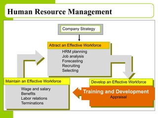 Copyright © 2005 by South-Western, a division of Thomson Learning. All rights reserved.
Human Resource Management
Develop an Effective Workforce
Training and Development
Appraisal
Maintain an Effective Workforce
Wage and salary
Benefits
Labor relations
Terminations
HRM planning
Job analysis
Forecasting
Recruiting
Selecting
Attract an Effective Workforce
Company Strategy
 