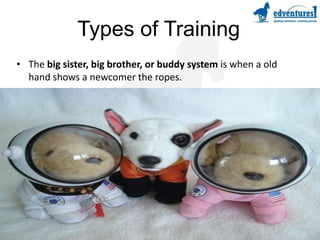 Examples for a bank teller: 