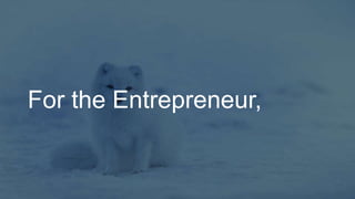 For the Entrepreneur,
 