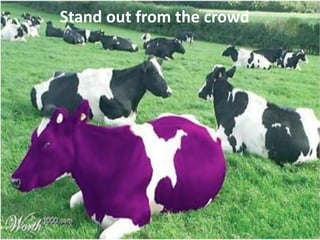 1. Why should I work with you?
Stand out from the crowd
 