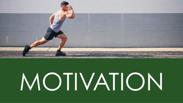 What it takes to become a best place to work