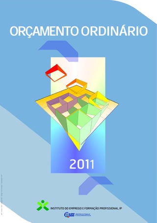 ORÇAMENTO ORDINÁRIO




        2011
 