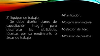2) Equipos de trabajo:
Se debe diseñar planes de
capacitación integral para
desarrollar las habilidades
técnicas por su rendimiento o
áreas de trabajo
Planificación.
Organización interna.
Selección del líder.
Rotación de puestos.
 