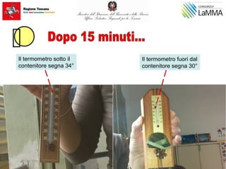 Il termometro sotto il
contenitore segna 34°
Il termometro fuori dal
contenitore segna 30°
 