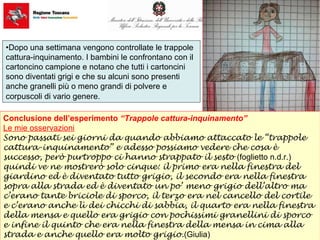 •Dopo una settimana vengono controllate le trappole
cattura-inquinamento. I bambini le confrontano con il
cartoncino campione e notano che tutti i cartoncini
sono diventati grigi e che su alcuni sono presenti
anche granelli più o meno grandi di polvere e
corpuscoli di vario genere.
Conclusione dell’esperimento “Trappole cattura-inquinamento”
Le mie osservazioni
Sono passati sei giorni da quando abbiamo attaccato le “trappole
cattura-inquinamento” e adesso possiamo vedere che cosa è
successo, però purtroppo ci hanno strappato il sesto (foglietto n.d.r.)
quindi ve ne mostrerò solo cinque: il primo era nella finestra del
giardino ed è diventato tutto grigio, il secondo era nella finestra
sopra alla strada ed è diventato un po’ meno grigio dell’altro ma
c’erano tante briciole di sporco, il terzo era nel cancello del cortile
e c’erano anche lì dei chicchi di sabbia, il quarto era nella finestra
della mensa e quello era grigio con pochissimi granellini di sporco
e infine il quinto che era nella finestra della mensa in cima alla
strada e anche quello era molto grigio.(Giulia)
 