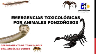 EMERGENCIAS TOXICOLÓGICAS
POR ANIMALES PONZOÑOSOS
DEPARTAMENTO DE TOXICOLOGÍA
DRA. ANGÉLICA QUIROZ
 