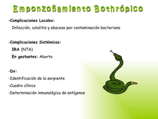 Emponzoñamiento Bothrópico Complicaciones Locales: Infección, celulitis y absceso por contaminación bacteriana Complicaciones Sistémicas: IRA  (NTA) En gestantes:  Aborto Dx: Identificación de la serpiente Cuadro clínico Determinación inmunológica de antígenos   