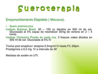 Emponzoñamiento Elapidido ( Micrurus). Suero antimicrurico Instituto Butanan Brasil.  50 – 100 cc diluidos en 500 ml de sol. Glucosada al 5% capaz de neutralizar 30mg de veneno en 2 – 4 horas Instituto Clodomiro Picado de costa rica.  3 frascos viales diluidos en 500 ml de sol. Glucosada al 5% IV Toxina post sinaptica= atropina 0,5mg/ml IV hasta FC 20lpm Prostigmine a 0,5 mg  IV a intervalo de 30` Medidas de sostén en UTI. Sueroterapia 