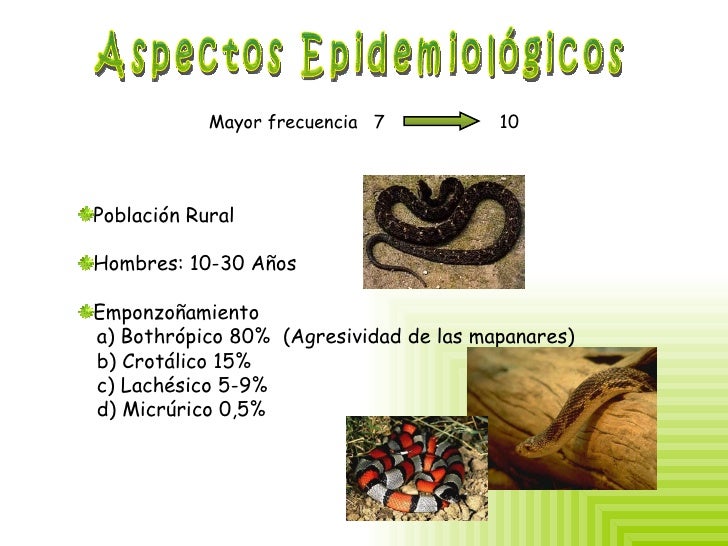 Emponzoñamiento ofidico