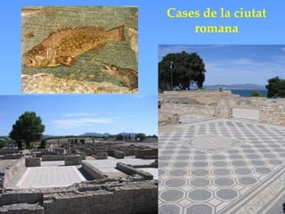 Cases de la ciutat
    romana
 