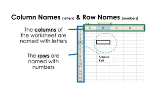 Column Names (letters) & Row Names (numbers)
The columns of
the worksheet are
named with letters
The rows are
named with
numbers
Selected
Cell
 