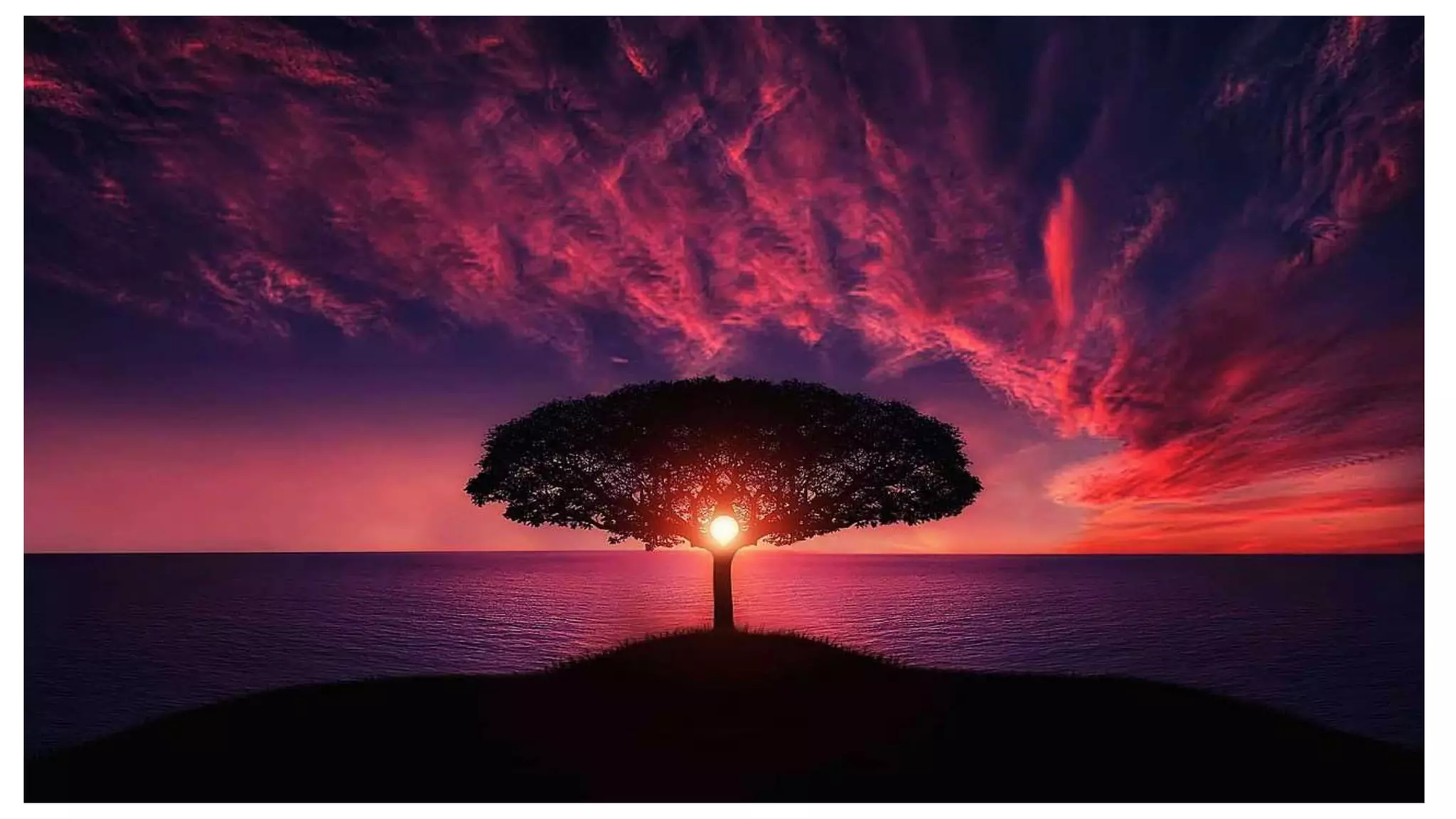 Empowerment Technology Lesson 3