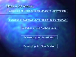 Steps in Job Analysis
  Collection of Organisational Structure Information


  Selection of Representative Position to be Analysed


             Collection of Job Analysis Data


               Developing Job Description


              Developing Job Specification
 