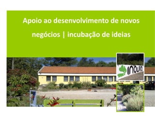 Apoio ao desenvolvimento de novos
  negócios | incubação de ideias
 