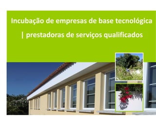 Incubação de empresas de base tecnológica
  | prestadoras de serviços qualificados
 
