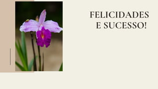 FELICIDADES
E SUCESSO!
 