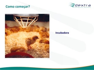 Como começar?




                Incubadora




                        www.dextra.com.br
 