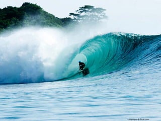 Lolapaipro@ flickr.com
 