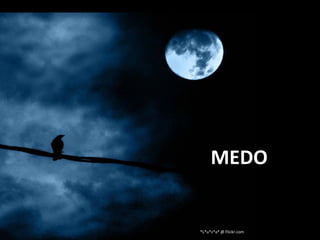 MEDO
*L*u*z*a* @ Flickr.com
 