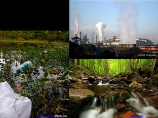 Daniel Leininger @ Flickr.com
Rmlf @ Flickr.com
Lee Seung Kye @ Flickr.com
 