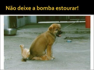  Percebeu que vai dar problema?
 Compartilhe com o grupo, se entendam
 Compartilhe com os professores
 Solicite ajuda!
 Não “sente no problema”!
 