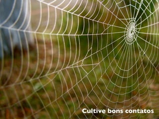 Cultive bons contatos
 