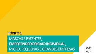 MARCASEPATENTES,
EMPREENDEDORISMOINDIVIDUAL,
MICRO,PEQUENASEGRANDESEMPRESAS
TÓPICO 1
01 / 54
 