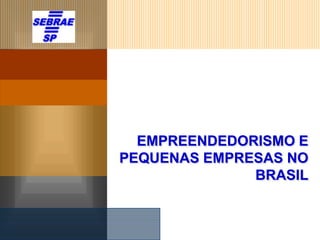 EMPREENDEDORISMO E
PEQUENAS EMPRESAS NO
              BRASIL
 