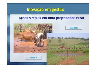 Inovação em gestão
Ações simples em uma propriedade rural


                             DEPOIS




      ANTES
 