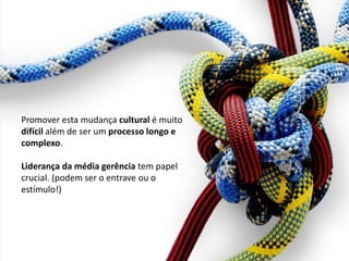 Promover esta mudança cultural é muito difícil além de ser um processo longo e complexo. 
Liderança da média gerência tem papel crucial. (podem ser o entrave ou o estímulo!) 
 