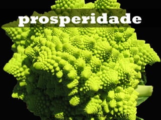 prosperidade




  http://www.ﬂickr.com/photos/19907278@N00/33612119/
 