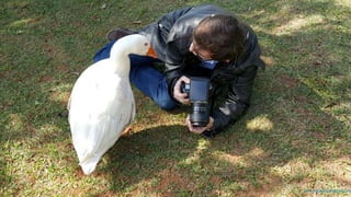 prof.mlcastro@gmail.com
 