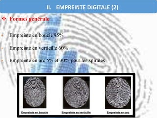  Formes générale
• Empreinte en boucle 95%
• Empreinte en verticille 60%
• Empreinte en arc 5% et 30% pour les spirales
II. EMPREINTE DIGITALE (2)
 