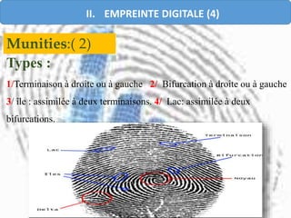 Munities:( 2)
Types :
1/Terminaison à droite ou à gauche 2/ Bifurcation à droite ou à gauche
3/ île : assimilée à deux terminaisons. 4/ Lac: assimilée à deux
bifurcations.
II. EMPREINTE DIGITALE (4)
 