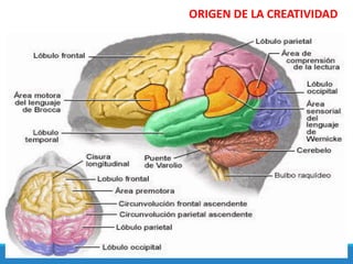 ORIGEN DE LA CREATIVIDAD
 