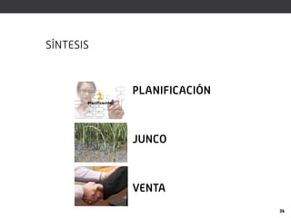 SÍNTESIS
PLANIFICACIÓN
JUNCO
VENTA
34
 