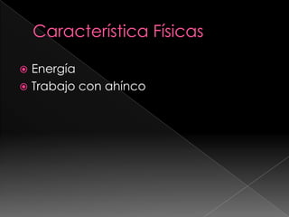 Característica Físicas EnergíaTrabajo con ahínco