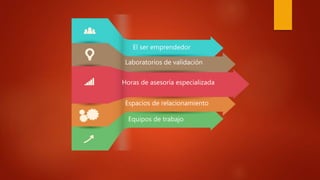 El ser emprendedor
Laboratorios de validación
Horas de asesoría especializada
Espacios de relacionamiento
Equipos de trabajo
 