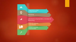 Diagnóstico y plan
de intervención
Mentoría
Horas de asesoría
especializada
Laboratorios empresariales y Jornadas de
Networking
Acceso a comités
empresariales
 