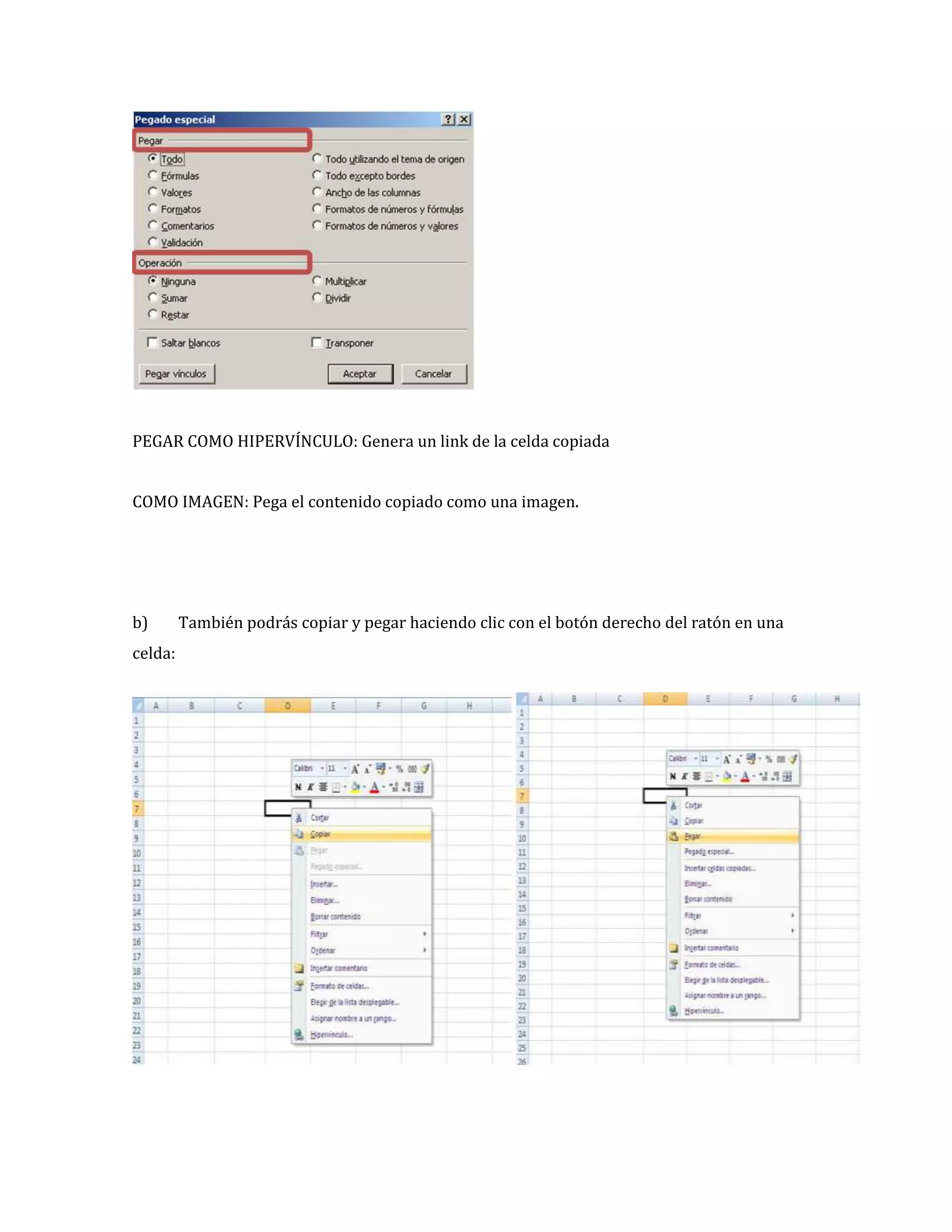 PEGAR COMO HIPERVÍNCULO: Genera un link de la celda copiada
COMO IMAGEN: Pega el contenido copiado como una imagen.

b)
celda:

También podrás copiar y pegar haciendo clic con el botón derecho del ratón en una

 