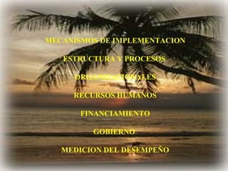 MECANISMOS DE IMPLEMENTACION
ESTRUCTURA Y PROCESOS
ORGANIZACIONALES
RECURSOS HUMANOS
FINANCIAMIENTO
GOBIERNO
MEDICION DEL DESEMPEÑO
 