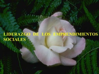 LIDERAZGO DE LOS EMPRENDIMIENTOS
SOCIALES
 