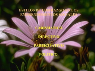 ESTILOS DE LIDERAZGO EN LOS
EMPRENDIMIENTOS SOCIALES
CARISMATICO
DIRECTIVO
PARTICIPATIVO
POLITICO
 