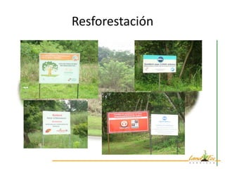 Resforestación
 