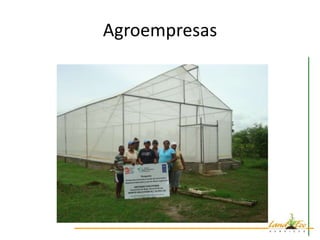 Agroempresas
 