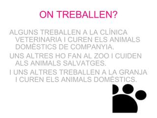ON TREBALLEN? ALGUNS TREBALLEN A LA CLÍNICA VETERINARIA I CUREN ELS ANIMALS DOMÈSTICS DE COMPANYIA.  UNS ALTRES HO FAN AL ZOO I CUIDEN ALS ANIMALS SALVATGES.  I UNS ALTRES TREBALLEN A LA GRANJA I CUREN ELS ANIMALS DOMÈSTICS. 